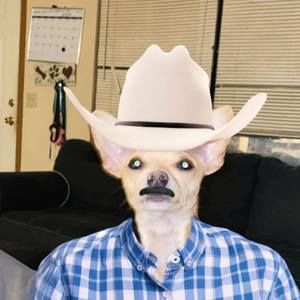 Meet your Posher, Tyler